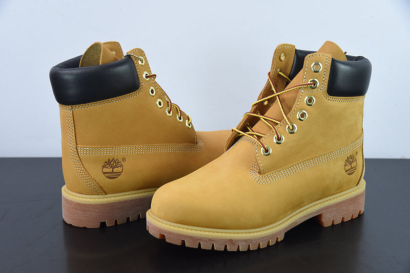 Timberland Galocha 6 Inch Premium