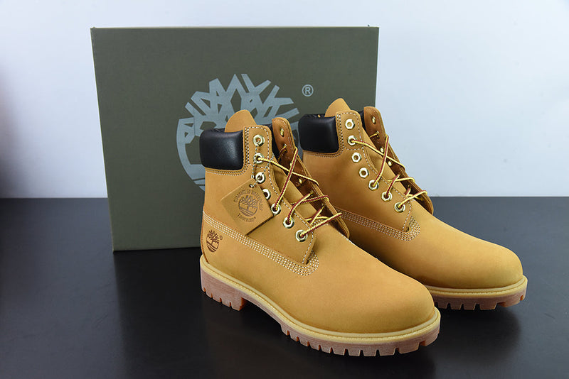 Timberland Galocha 6 Inch Premium